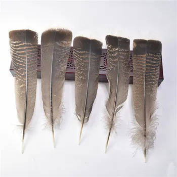 De înaltă calitate naturale Vulturul pasărea cu pene de 10-100pcs25-30cm/10-12 țoli pene de Vultur pentru a meserii diy bijuterii Etapă decor pene
