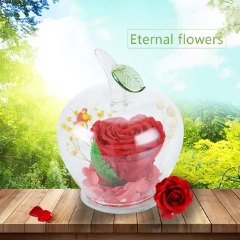 Conservate Crescut Artificial Nemuritoare Flori de Măr în formă de Cupolă de Sticlă Ziua Ziua Îndrăgostiților Cadou de Aniversare de Nunta Fetei