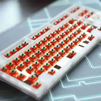 Nou Pentru EQUALZ Mandarina V2 Switch-uri Mecanice 62g Jocuri Liniar tastatura Tastatura DIY Arborelui Translucid 67g Personaliza Z1J1