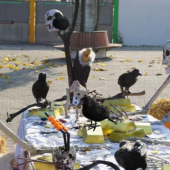 1/2 buc Halloween Simulare Cioara Neagră Artificială Pasăre Raven Pentru Petrecerea de Halloween Acasă Bara Ornament DIY Casa Bantuita Înfricoșător elemente de Recuzită
